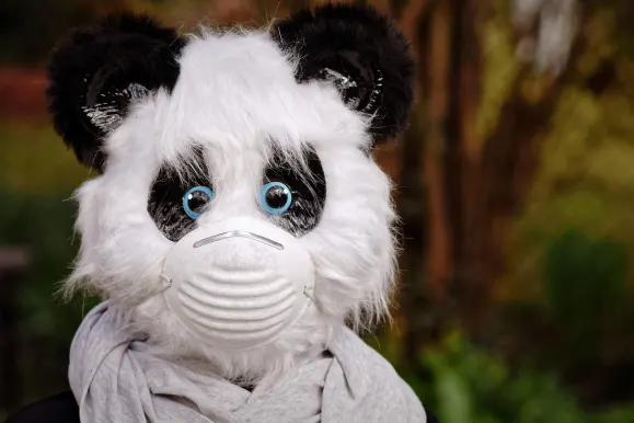 بيتكوزا كازينو الدعم